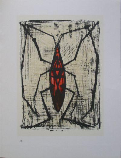 Bernard  BUFFET (d’après) : Les insectes, 1967 - 10 Lithographies 2