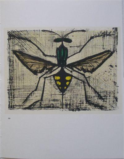 Bernard  BUFFET (d’après) : Les insectes, 1967 - 10 Lithographies 2