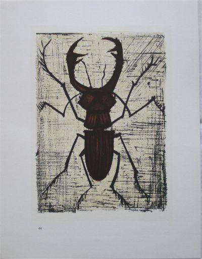 Bernard  BUFFET (d’après) : Les insectes, 1967 - 10 Lithographies 2