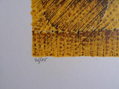Cesare PEVERELLI - La chrysalide jaune - Lithographie signée et numérotée 2