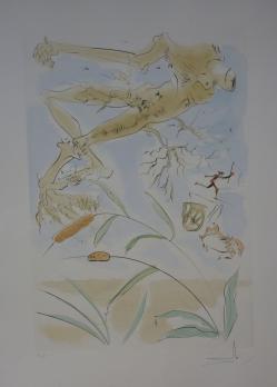 Salvador DALI - 