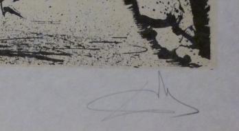 Salvador DALI - 