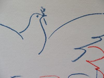 Pablo PICASSO : Couple à la colombe - Lithographie signée 2