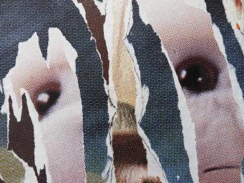 Jacques VILLEGLÉ - Lacération au retriever, Collage signé 2