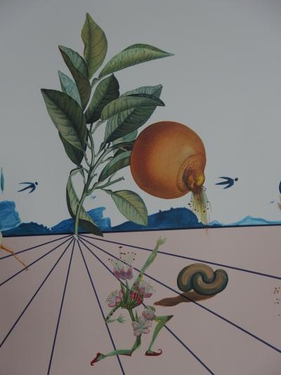Salvador DALI - Flordali, 1981 - Lithographie signée 2