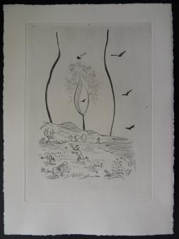 Salvador DALI - Lot de 9 gravures 