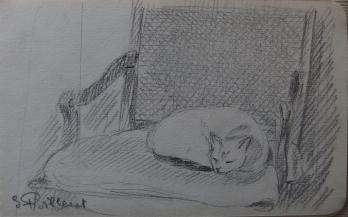 Gilbert POILLERAT - Chat endormi, Dessin original signé 2