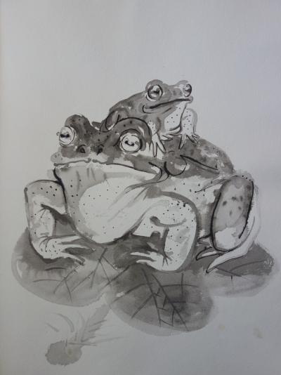 Pierre-Yves TREMOIS - Grenouilles  - dessin original 2