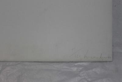 Vincenzo AGNETTI -  Territoriality, 1971 - Serigraphie signée au crayon 2