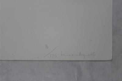 Vincenzo AGNETTI - Territorial, 1971 - Serigraphie signée à la main 2