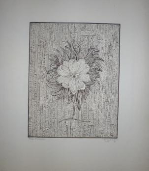Roger VIEILLARD - Le lis de la nur - Gravure signée au crayon 2