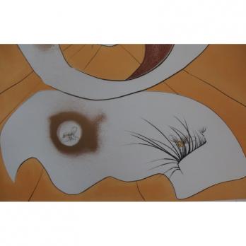 Salvador DALI - Vision planétaire Ying et Yang, 1974, Gravure originale signée 2