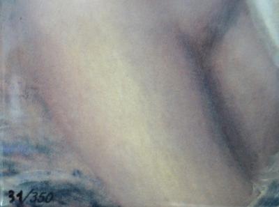 Pierre Auguste RENOIR (d’après) : Baigneuse aux cheveux longs - Sérigraphie signée 2