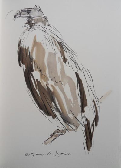 André DUNOYER DE SEGONZAC - Le vautour, 1966 - Lithographie originale signée 2