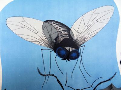 Félix LABISSE - La mouche et la fourmi, Lithographie originale, signée 2