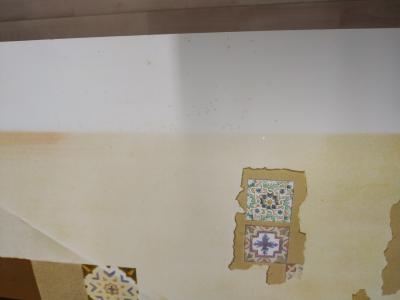 Salvador DALI - Gala / Lincoln, Lithographie 2