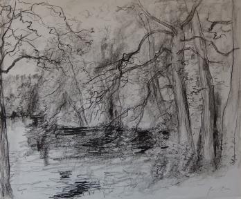 Bernard GANTNER - Sous-bois, Dessin original au crayon noir 2