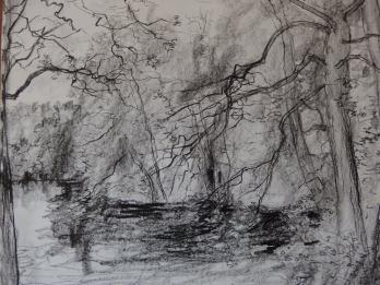 Bernard GANTNER - Sous-bois, Dessin original au crayon noir 2