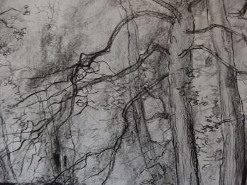 Bernard GANTNER - Sous-bois, Dessin original au crayon noir 2
