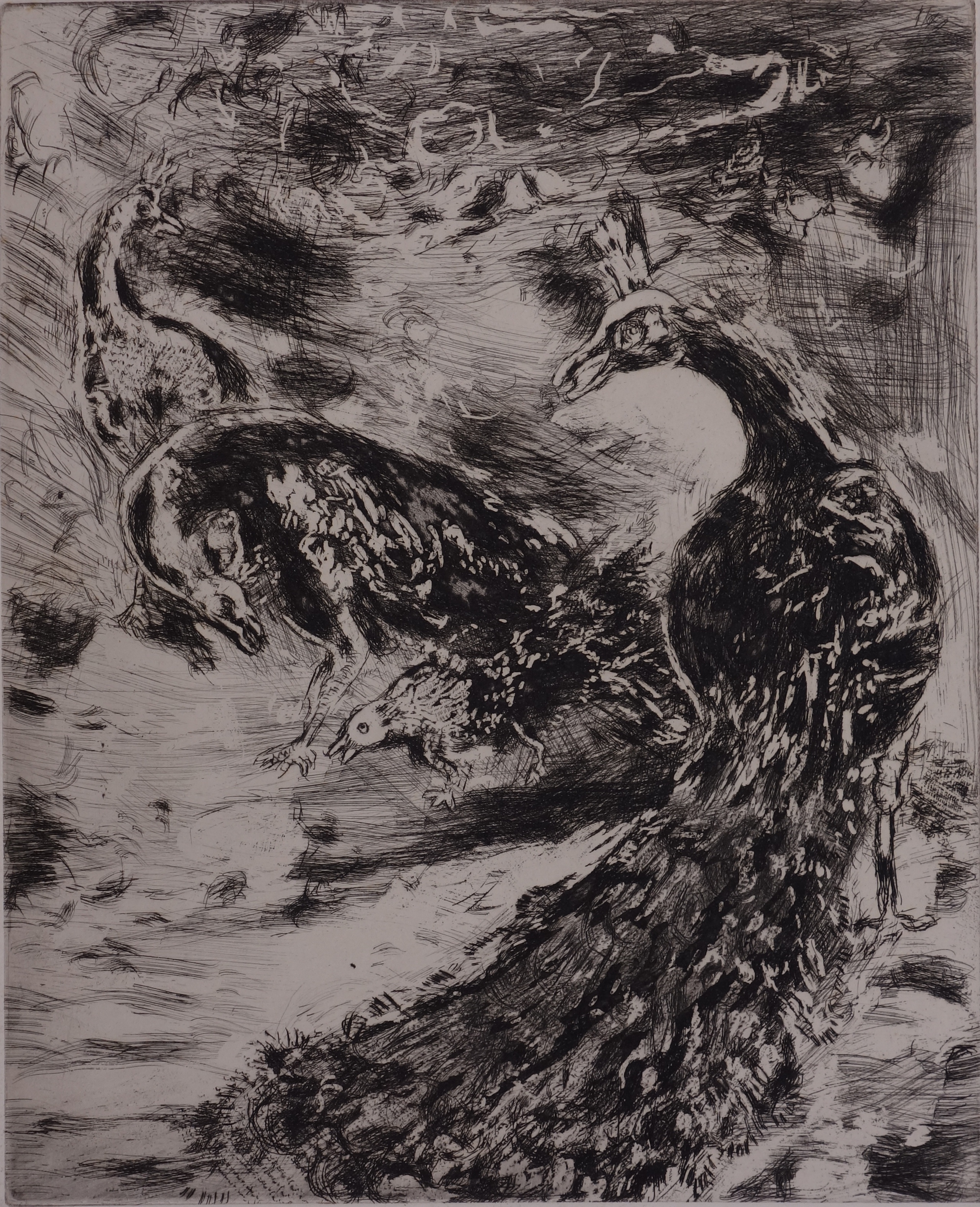 Marc CHAGALL Le Geai Par Des Plumes Du Paon 1952 Gravure Originale marc-chagall-le-geai-par-des-plumes-du-paon-1952-gravure-originale