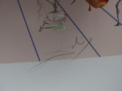 Salvador DALI - Flordali II, La rose papillon, 1981 - Lithographie originale signée 2
