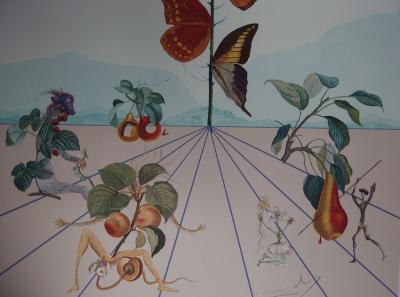 Salvador DALI - Flordali II, La rose papillon, 1981 - Lithographie originale signée 2