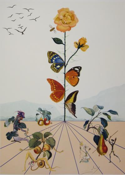 Salvador DALI - Flordali II, La rose papillon, 1981 - Lithographie originale signée 2