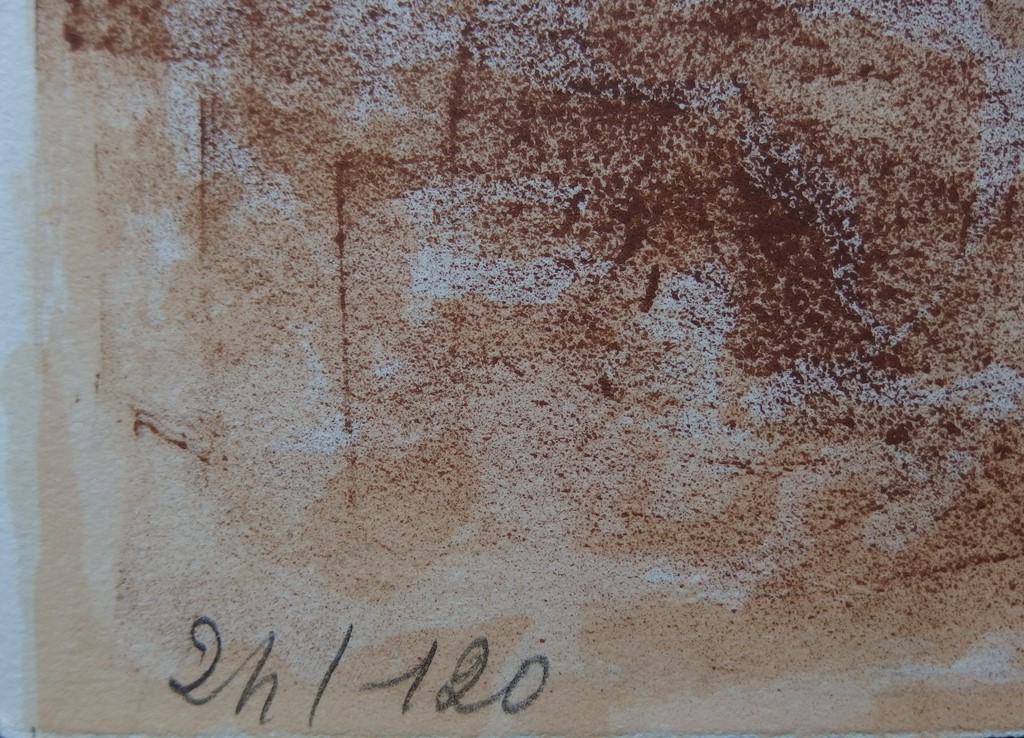 Michel VIOT Jeune fille aux moineaux, Lithographie originale