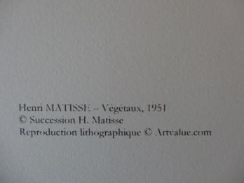 Henri MATISSE (1869-1954) - Végetaux, Lithographie 2