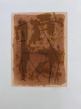 Alberto RAFOLS-CASAMADA - Circ 1, 1988, Gravure signée, datée et justifiée 2