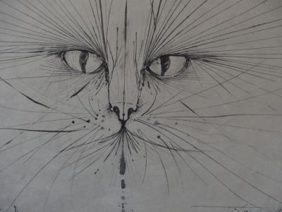 Pierre Yves Tremois Visage De Chat Dessin Original Signe Contemporary Art Plazzart Pierre Yves Tremois Visage De Chat Dessin Original Signe Contemporary Art Plazzart
