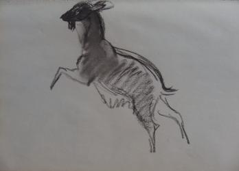 Georges MANZANA-PISSARRO - Les chèvres V, Dessin original 2