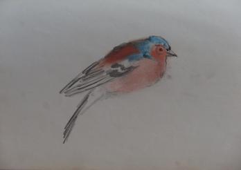 Georges MANZANA-PISSARRO - Les oiseaux, Dessin original 2