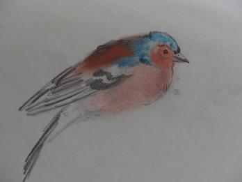 Georges MANZANA-PISSARRO - Les oiseaux, Dessin original 2