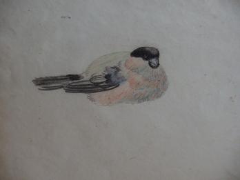 Georges MANZANA-PISSARRO - Les oiseaux, Dessin original 2