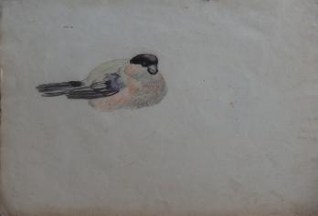 Georges MANZANA-PISSARRO - Les oiseaux, Dessin original 2