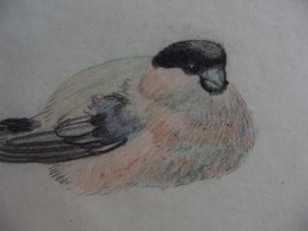 Georges MANZANA-PISSARRO - Les oiseaux, Dessin original 2