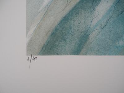 Jean-Baptiste VALADIÉ - Brassens : Le vent, Lithographie originale Signée 2
