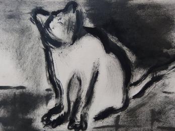 Paul ACKERMAN - Chat, Dessin original signé 2
