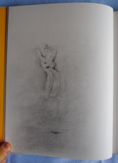 Salvador DALI (d’après) - Carnet érotique - 29 illustrations 2