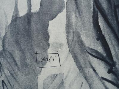 Salvador DALI : PURGATOIRE 14 - Un esprit interroge Dante - Gravure originale signée, 1963 2