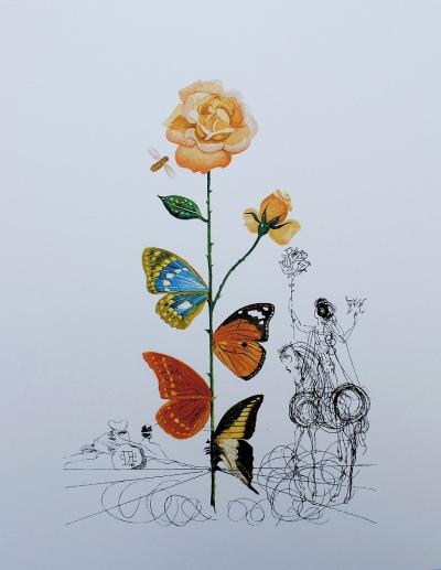 Salvador DALI (d’après) : Flordali -  La rose papillon - Lithographie signée, 800 exemplaires, 1979 2