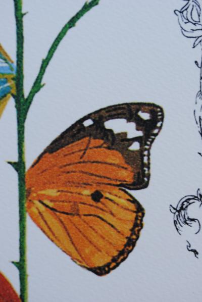 Salvador DALI (after) - La rose papillon, Lithographie 2