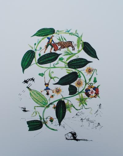 Salvador DALI (d’après) : Flordali - Série de 8 lithographies à tirage limité, 1979 2