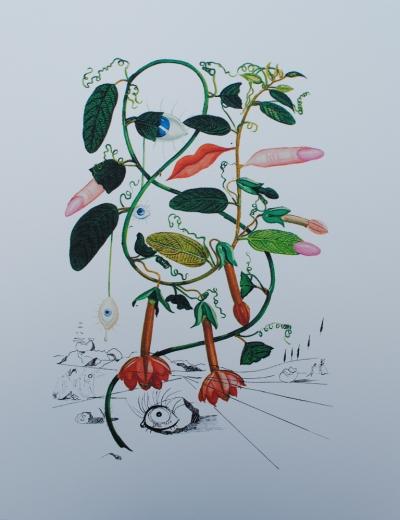Salvador DALI (d’après) : Flordali - Série de 8 lithographies à tirage limité, 1979 2