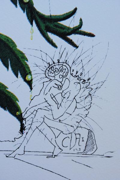 Salvador DALI (d’après) : Flordali - Série de 8 lithographies à tirage limité, 1979 2