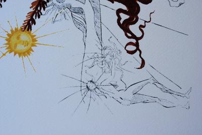 Salvador DALI (d’après) - L’arbre soleil - lithographie datée 2