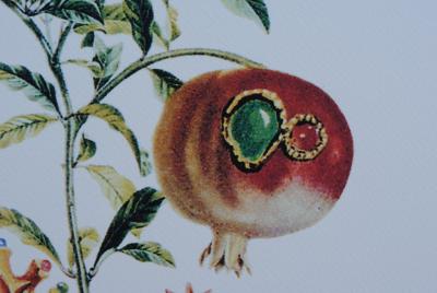 Salvador DALI (1904-1989) (d’après) - Pommes sauvages, Printographie signée 2