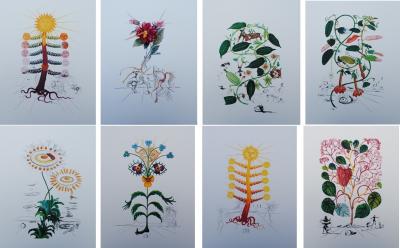 Salvador DALI (d’après) : Flordali - Série de 8 lithographies à tirage limité, 1979 2