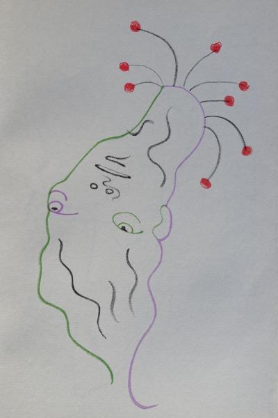 Jean COCTEAU : Le délire, 1957 - Lithographie originale 2